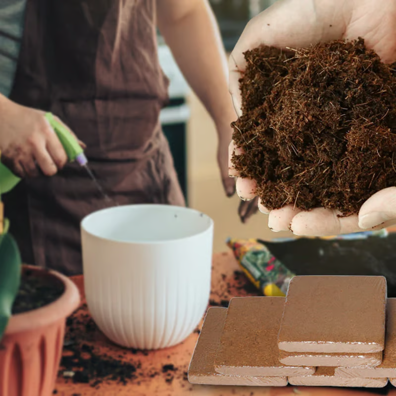 🔥LAST DAY 49% OFF🌱 Premium Organic Coconut Coir Bricks For Plants