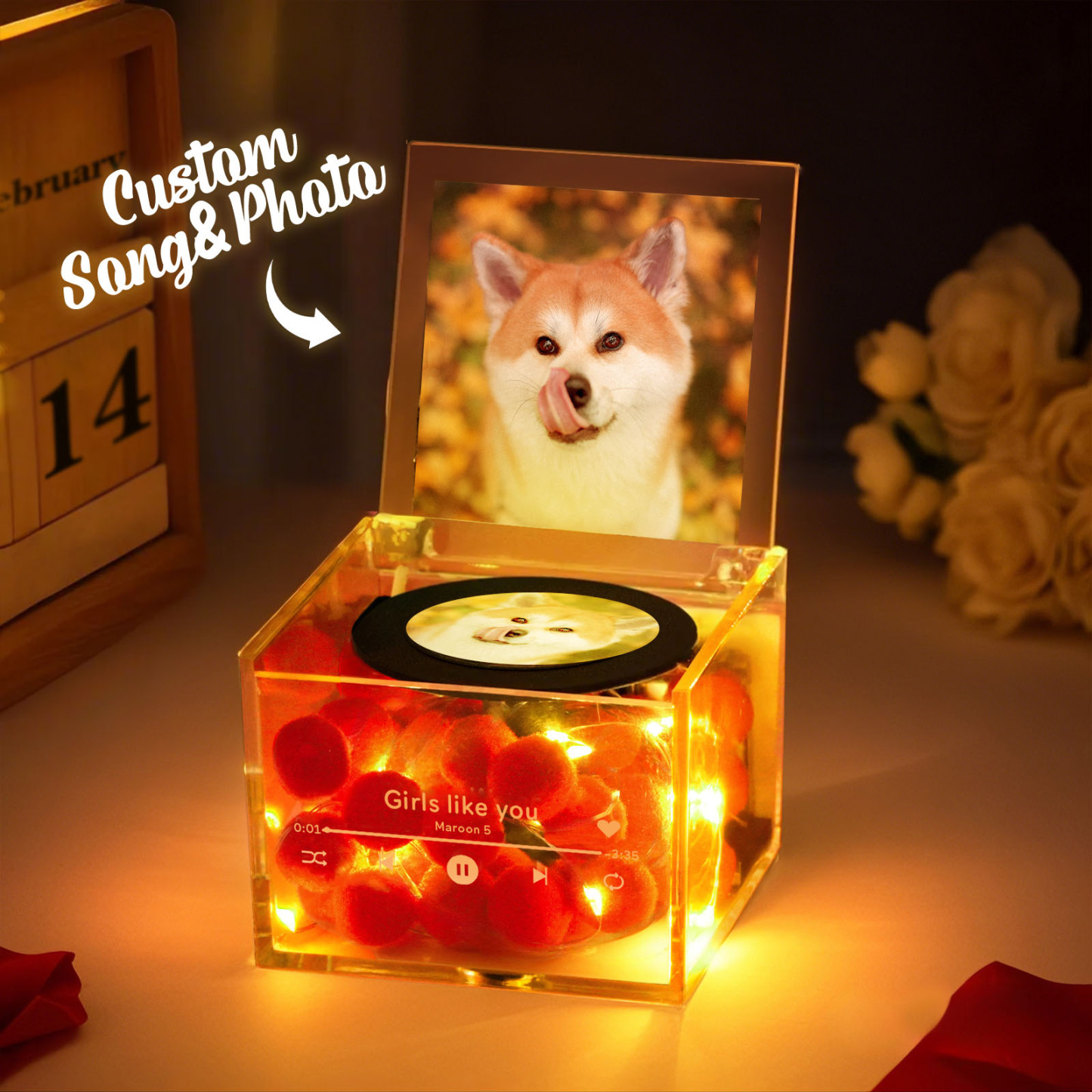 Mini reproductor de discos de vinilo con foto personalizada y luz Caja de acrílico con música personalizada Regalo para amantes de las mascotas