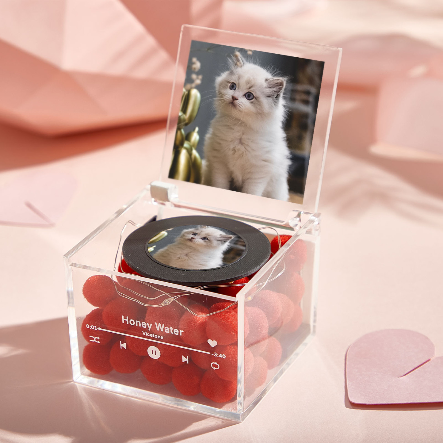 Mini reproductor de discos de vinilo con foto personalizada y luz Caja de acrílico con música personalizada Regalo para amantes de las mascotas