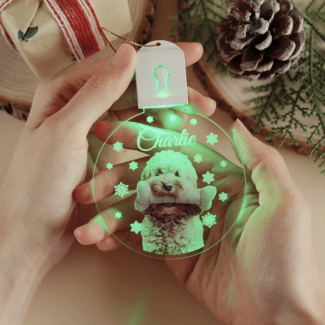 Adorno Acrílico Led Circular Con Foto Personalizada De Perro, Regalo De Navidad Para Amantes De Los Perros - mymoonlampes