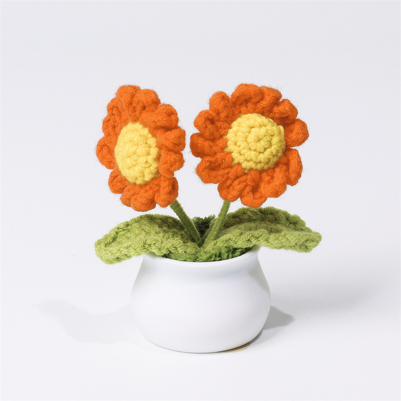 Maceta De Margaritas Tejida A Crochet Hecha A Mano, Regalo De Cumpleaños Y Aniversario Para Amigos Y Familiares - mymoonlampes