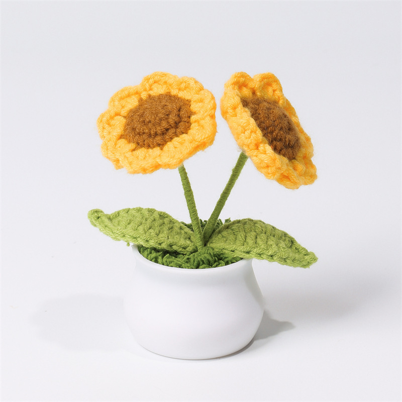Maceta De Margaritas Tejida A Crochet Hecha A Mano, Regalo De Cumpleaños Y Aniversario Para Amigos Y Familiares - mymoonlampes