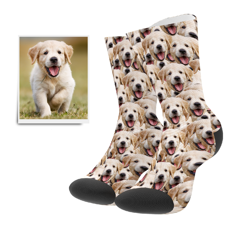 Chaussette Personnalisé en Photo Visage de Chien Mash