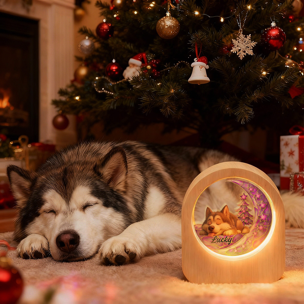 Veilleuse En Verre Personnalisée Avec Photo D'animal De Compagnie - Socle En Bois Et Lumière Led, Cadeau Unique Pour Les Amoureux Des Animaux, Anniversaire - MaPhotochaussetteFr