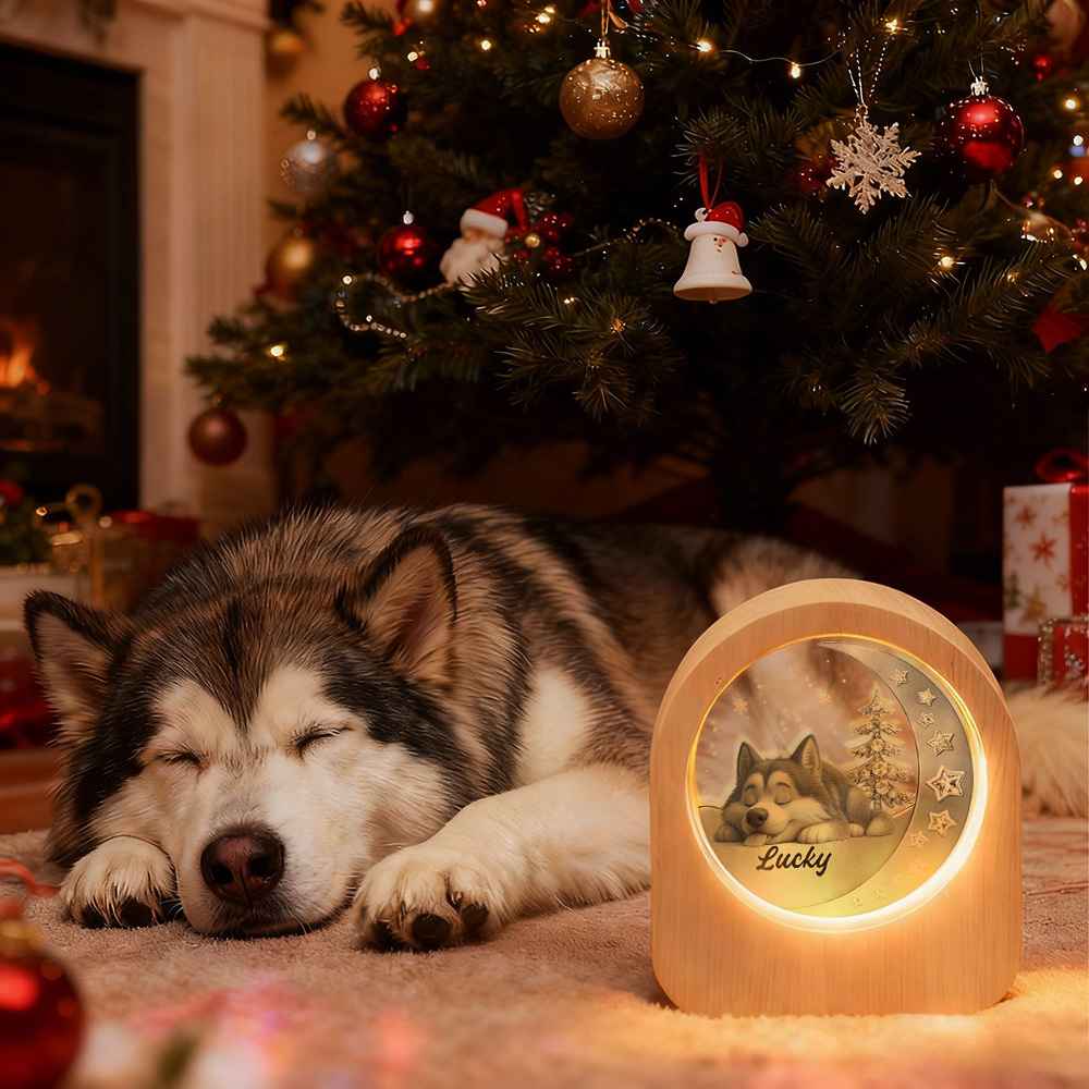 Veilleuse En Verre Personnalisée Avec Photo D'animal De Compagnie - Socle En Bois Et Lumière Led, Cadeau Unique Pour Les Amoureux Des Animaux, Anniversaire - MaPhotochaussetteFr