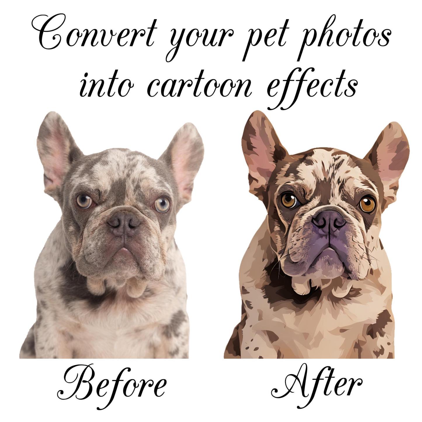 Chaussettes Personnalisées Avec Photo D'animal De Compagnie, Chaussettes Personnalisées Pour Animaux, Chaussettes Personnalisées Pour Chiens, Cadeaux Pour La Fête Des Mères, Cadeaux Pour Papas De Chat/chien, Chaussettes Avec Visage De Chien, Cadeau Pour Amoureux Des Animaux - MaPhotochaussetteFr