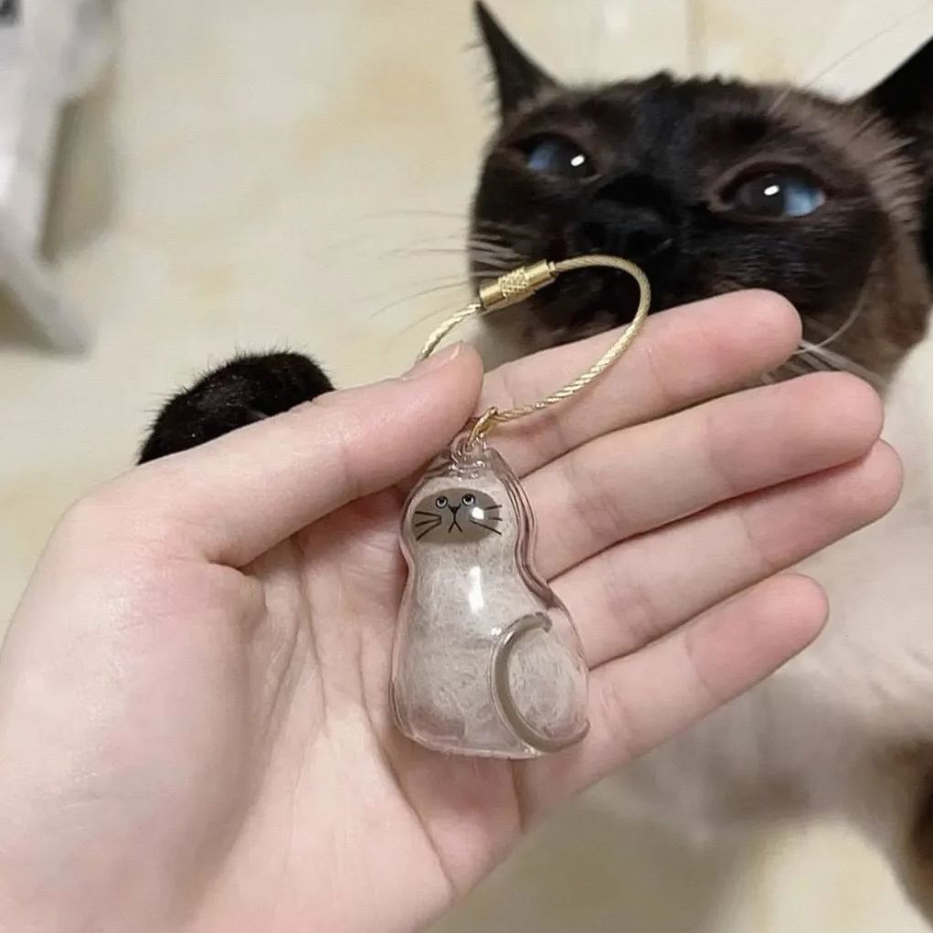 Porte-clés Capsule En Fourrure De Chat Transparente – Breloque Porte-mémoire Gashapon En Acrylique - MaPhotochaussetteFr