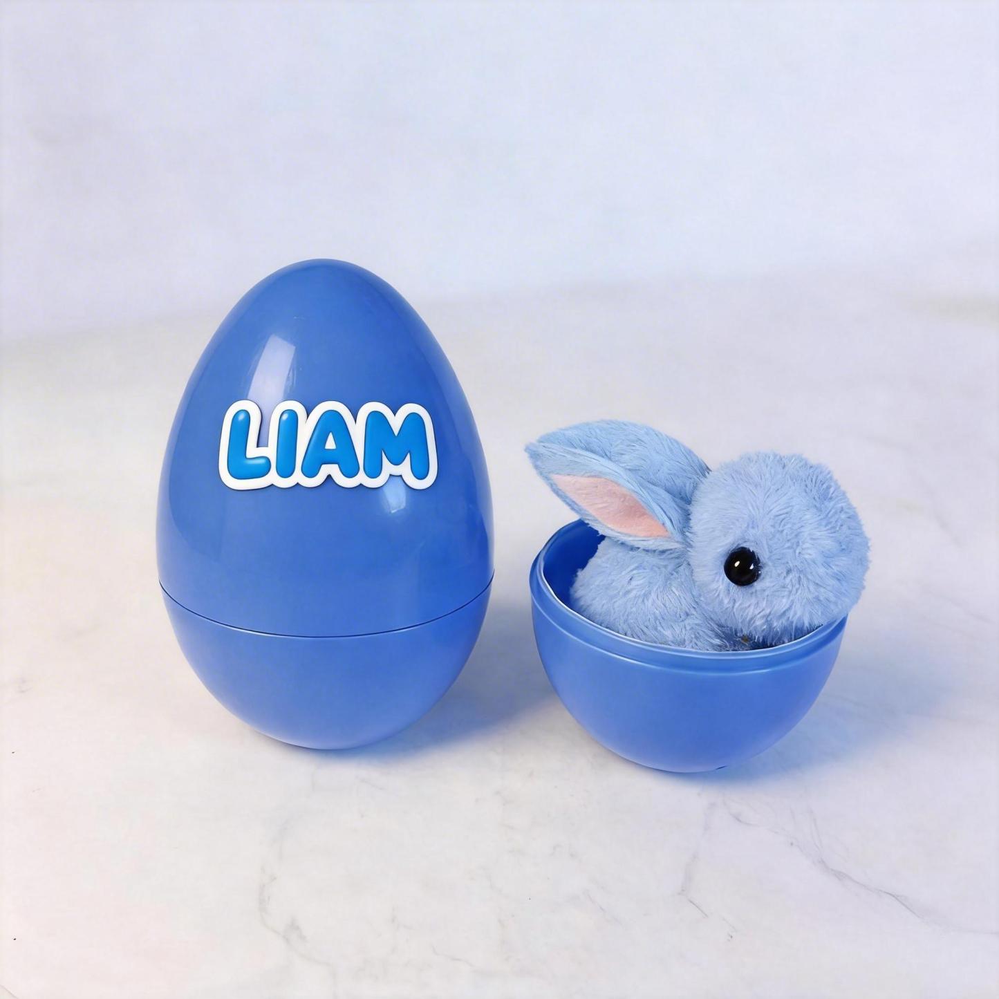 Œufs De Pâques Personnalisés Avec Nom, Garnitures Pour Paniers De Pâques Et Lapins De Pâques. - MaPhotochaussetteFr