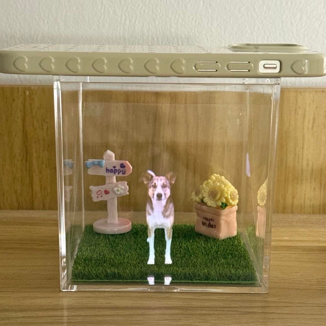 Interactive Pet Memorial Box With Hologram Projection - MyPhotoSocks
