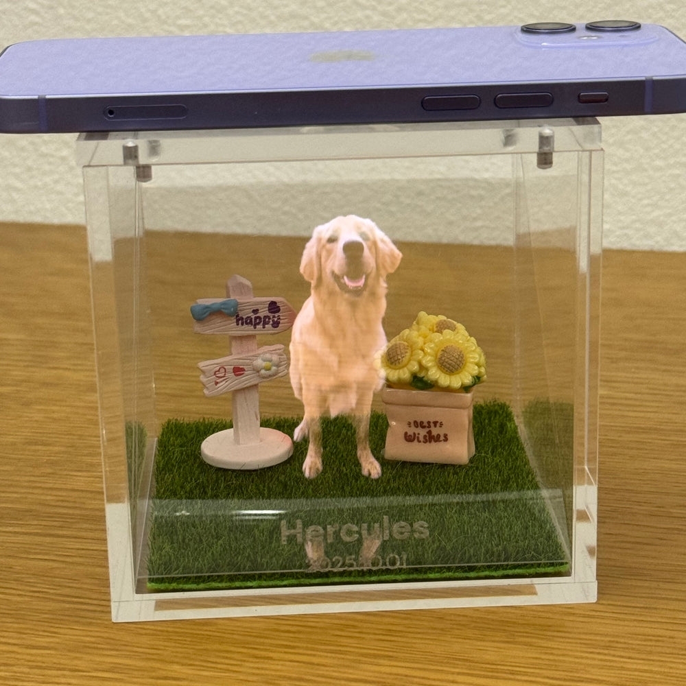 Interactive Pet Memorial Box With Hologram Projection - MyPhotoSocks