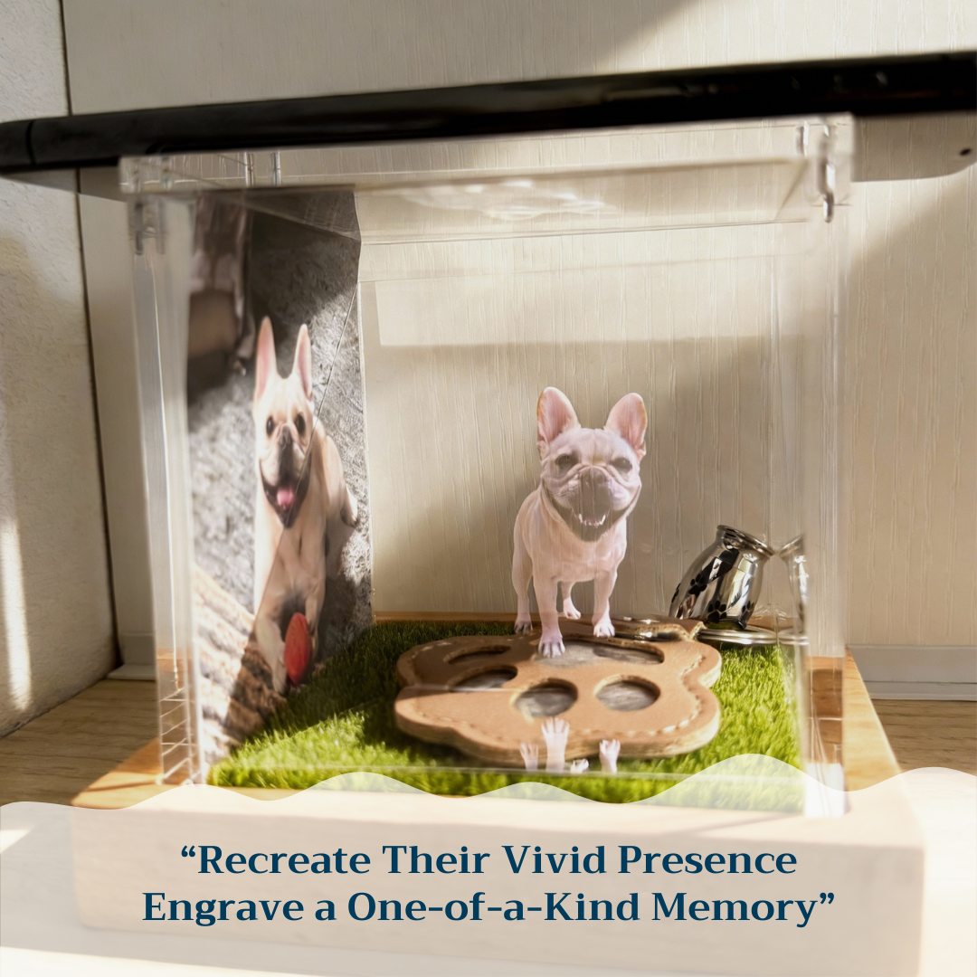 Interactive Pet Memorial Box With Hologram Projection - MyPhotoSocks