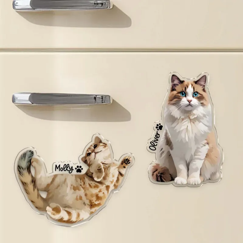 Custom Pet Photo Fridge Magnet Personalized Acrylic Magnet with Pet’s Name Pet Portrait Gift for Dog & Cat Lovers