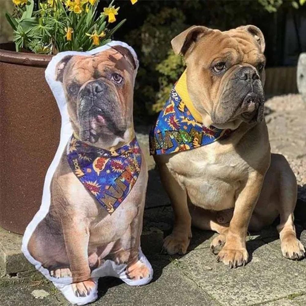 Custom Photo Pet Face Pillow 3D Portrait Pillow