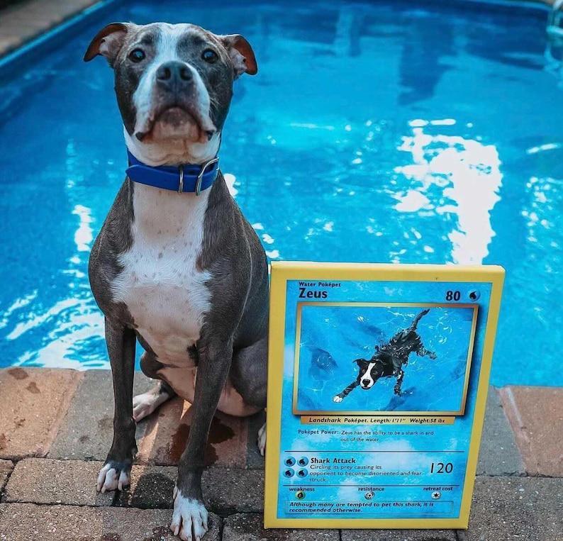 custom pet portrait, custom dog portrait, custom pokemon cards, personalized YOUR OWN METAL pokémon cards, pokemon gifts, pokemon stuff