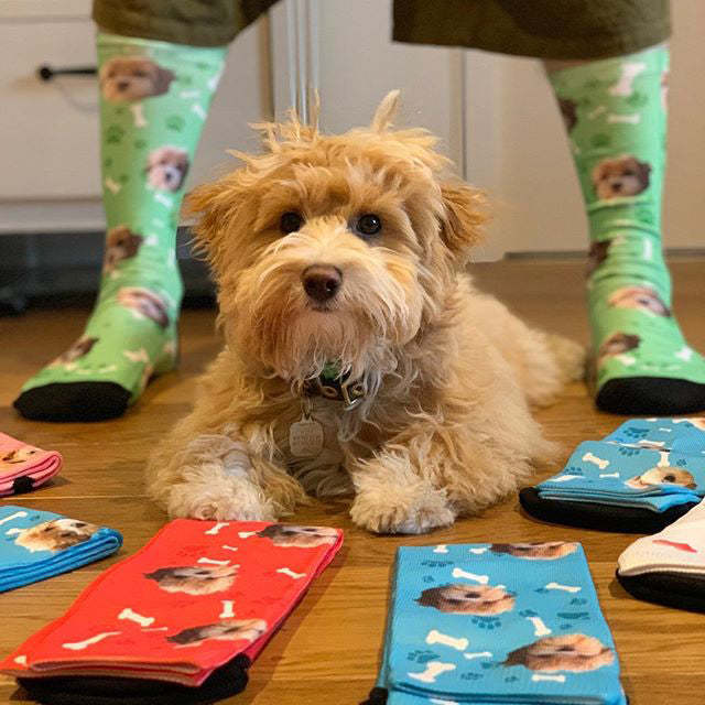 Custom Christmas Dog Socks With Your Text