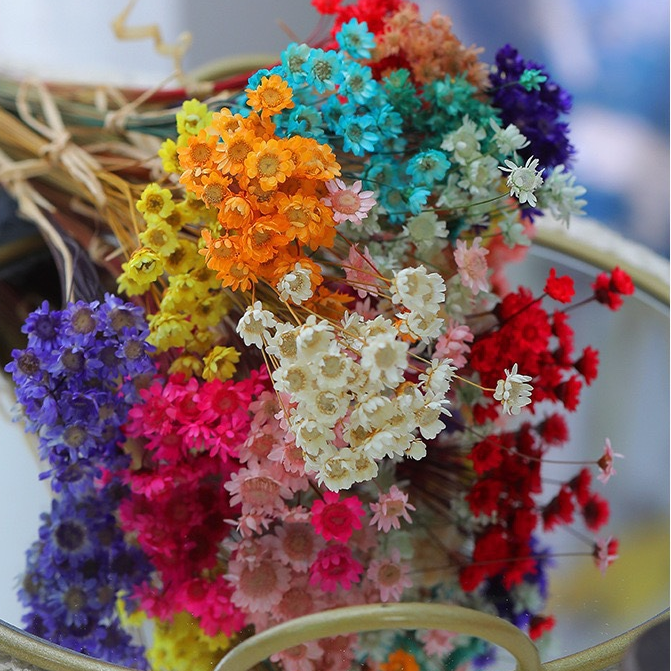 Mixed-Color Dried Flowers A Bunch (48 Stems, Need to Be Trimmed to Length)