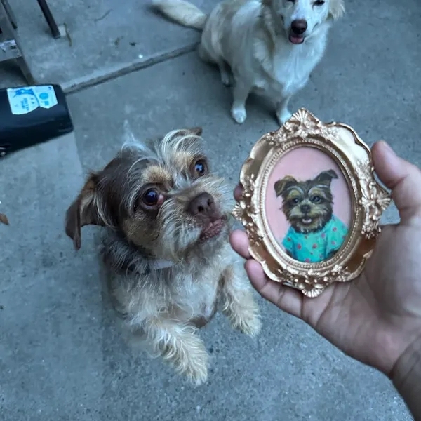 Personalized Pet Portrait Fridge Magnet Custom Mini Pet Portrait Fridge Magnet Gold Baroque Frame Acrylic Magnet