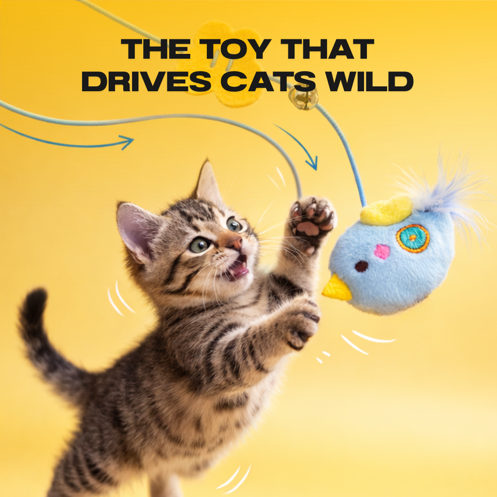 Automatic Cat Yo Yo Toy Interactive Electric Self Play Cat Toy Energy Burning Pet Toy