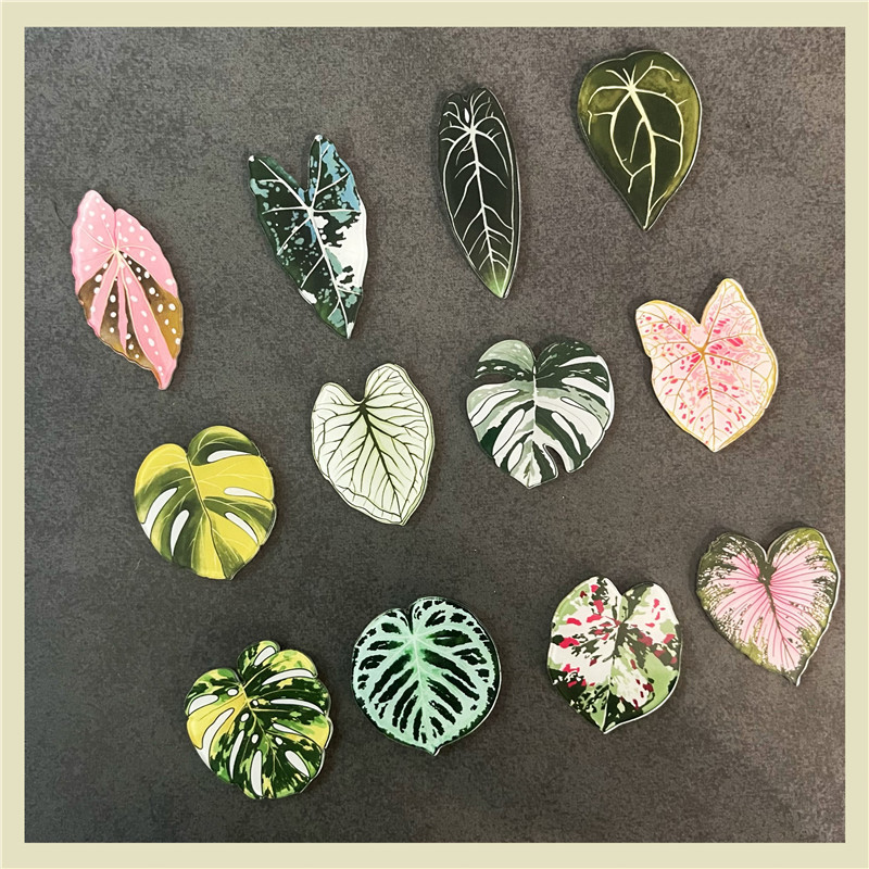 Cute Mini Plant Leaves Magnets for Fridge Monstera Deliciosa Magnets for Refrigerator Decoration Kitchen Locker Kitchen Office (10 Pack)