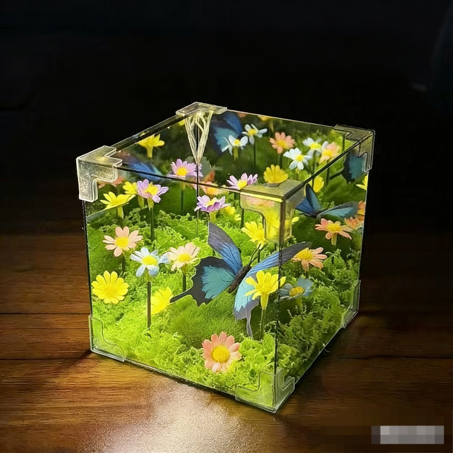 Butterfly Forest Night Light DIY Kit Handmade Ambient Bedroom Lamp, Romantic Gift for Girlfriend