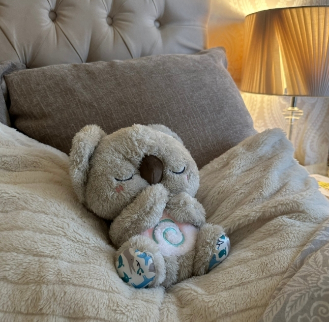 THE RELIEF KOALA - yourphotoblanketuk