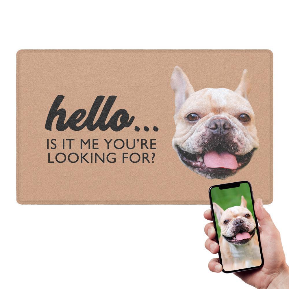 Personalized Pet Photo Doormat-Hello