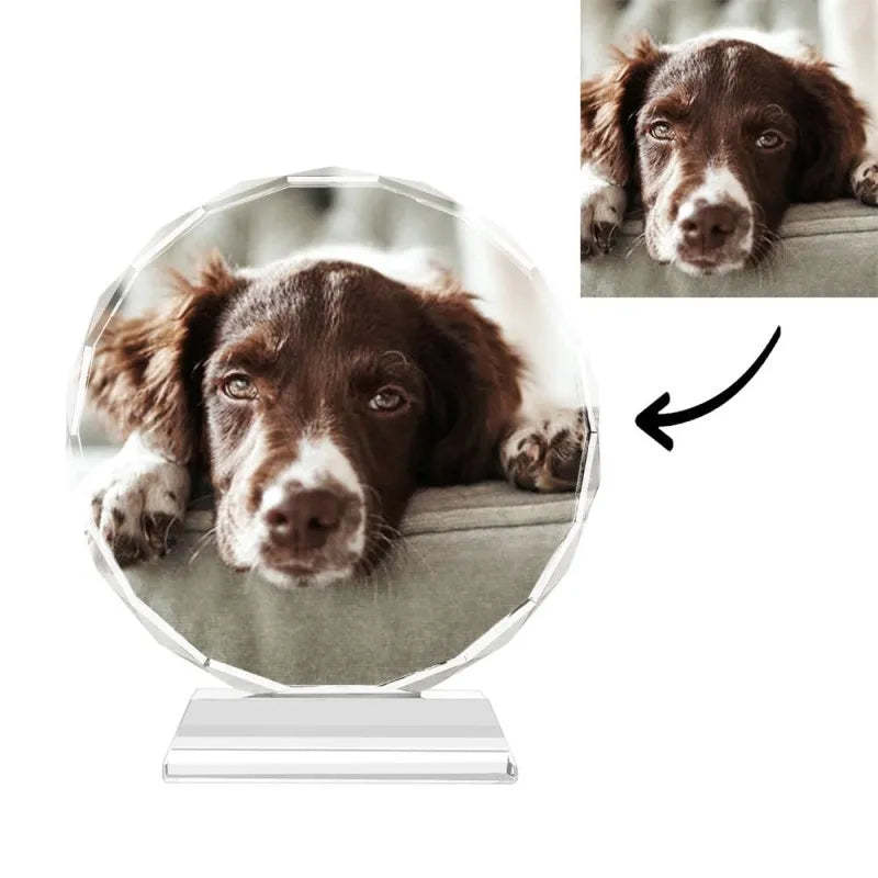 Custom Crystal Photo Frame Round 100mm Home Decoration Cute Pet