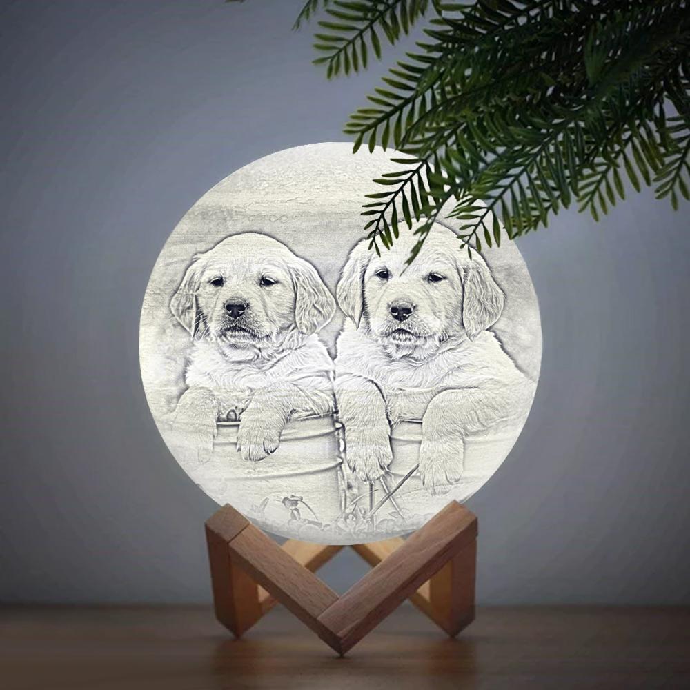 Custom Cute Pet 3D Printed Jupiter Lamp Personalized Gift - Touch Two Colors (10-15cm) - yourphotoblanketuk