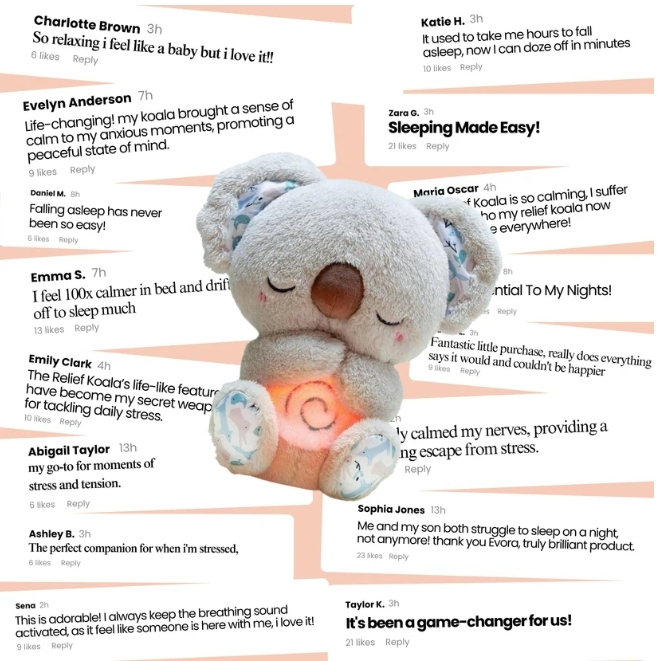 THE RELIEF KOALA - yourphotoblanketuk