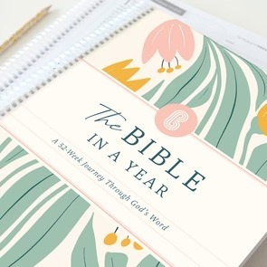 Die Bibel In Einem Jahr – Eine 52-wöchige Reise
