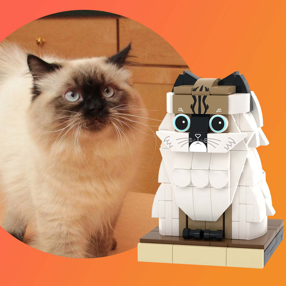 Custom Pet Brick Figure Full Body Anpassbare 1 Cat Photo Brick Figures Customized Cat Only - dephotoblanket