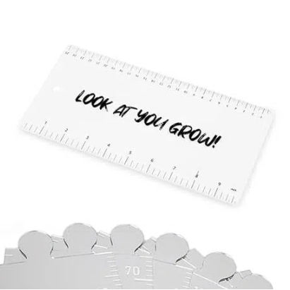 9,84 Zoll = 25 Cm Lineal + 9,99 $ - dephotoblanket