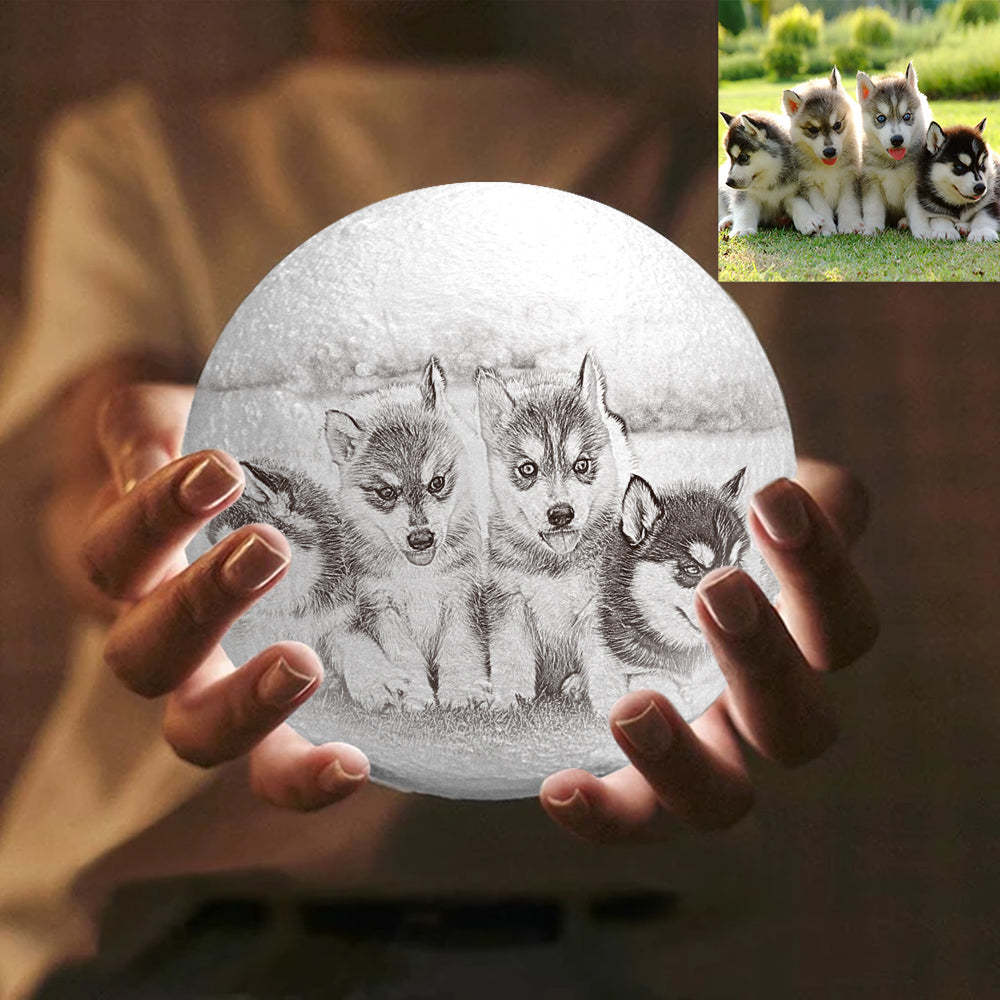 Hochzeitsgeschenke Benutzerdefinierte Mondlampe Mit Foto Personalisiertes Graviertes 3d-drucklicht - dephotoblanket