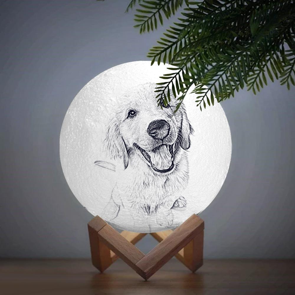 Benutzerdefinierte Gravierte 3d-druck Foto Mond Lampe 2 Farben Licht Schöne Haustier - dephotoblanket