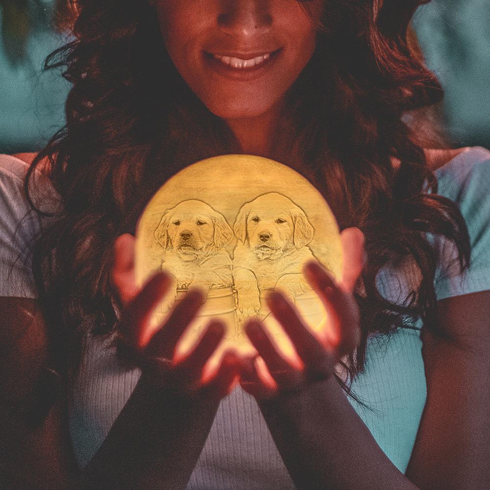 Benutzerdefinierte Süße Haustier 3d Gedruckt Jupiter Lampe Personalisiertes Geschenk - Touch Zwei Farben (10-15 Cm) - dephotoblanket