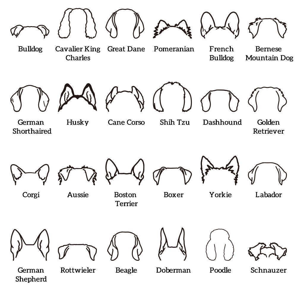 Personalisiertes Hundeohren-sweatshirt Mit Namen, Individuelles Stick-hoodie-geschenk Für Hundeliebhaber - dephotoblanket