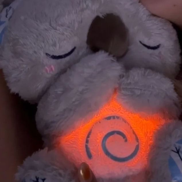 Der Relief-koala - dephotoblanket