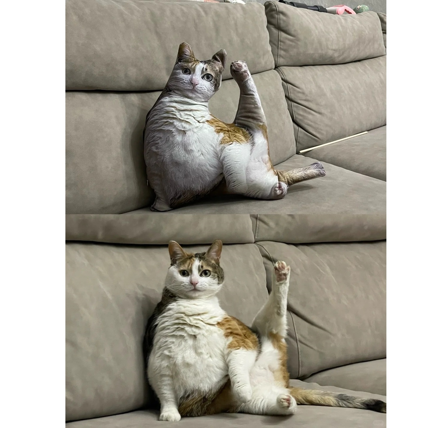 Personalisiertes Körperkissen, Individuelles Kissen, Heimdekoration, Geschenk