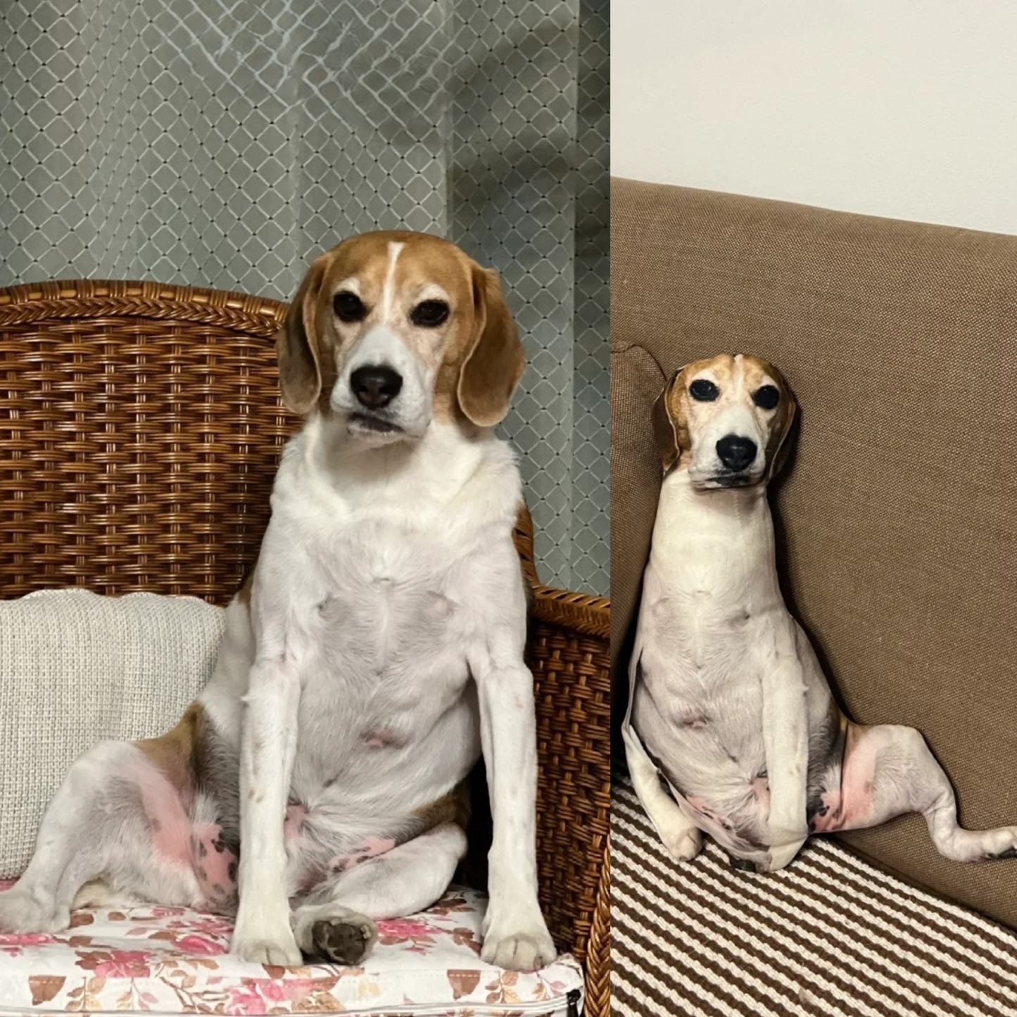 Personalisiertes Körperkissen, Individuelles Kissen, Heimdekoration, Geschenk