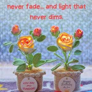 Gehäkelte Rosen-nachtlampe, Topfpflanze, Handgefertigte Garnblume, Geschenk Für Die Heimdekoration - dephotoblanket