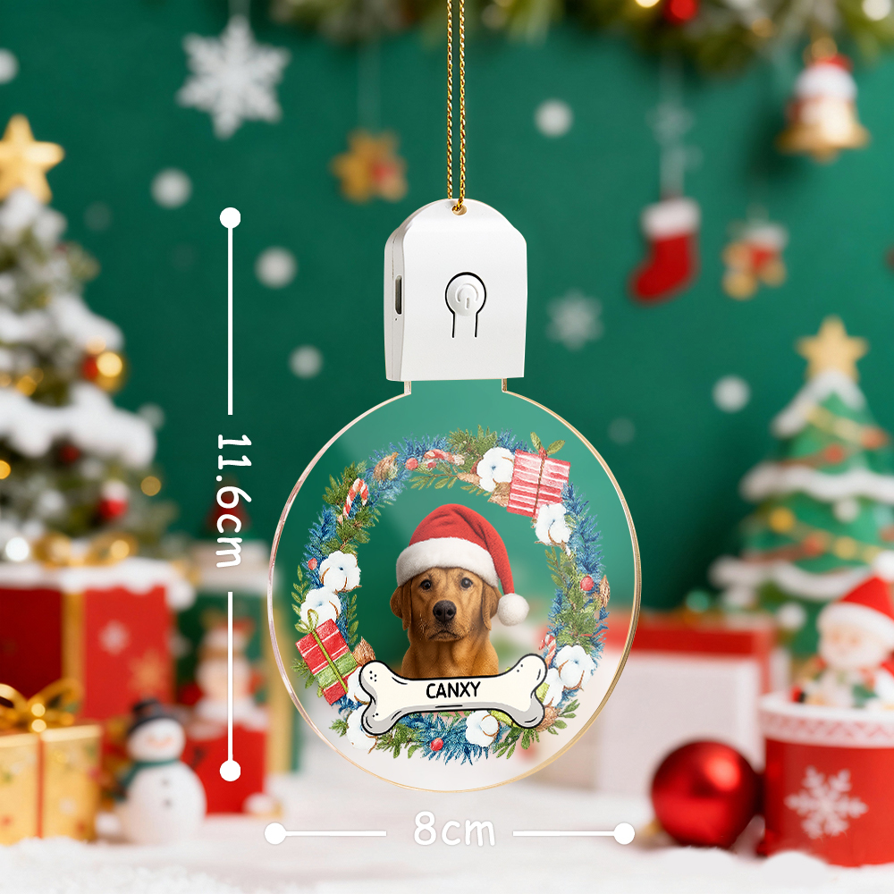 Ornement Lumineux De Noël Personnalisé Avec Photo Pour Chien Ou Chat, En Acrylique. - MapLunelampeFr