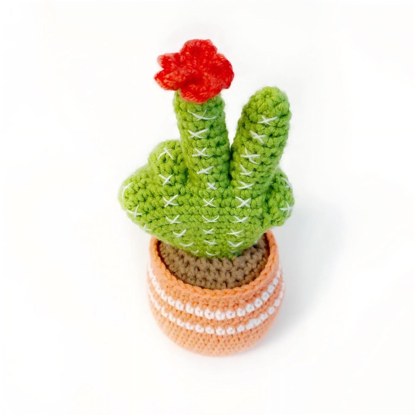 Pot En Forme De Cactus Au Crochet - Décoration De Bureau Avec Doigt D'honneur - MapLunelampeFr