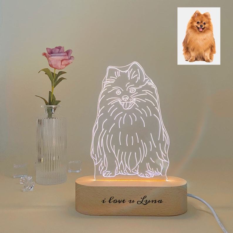 Cadeaux pour les amoureux des animaux de compagnie Lampe photo Lumière LED Portrait gravé Chien Veilleuse