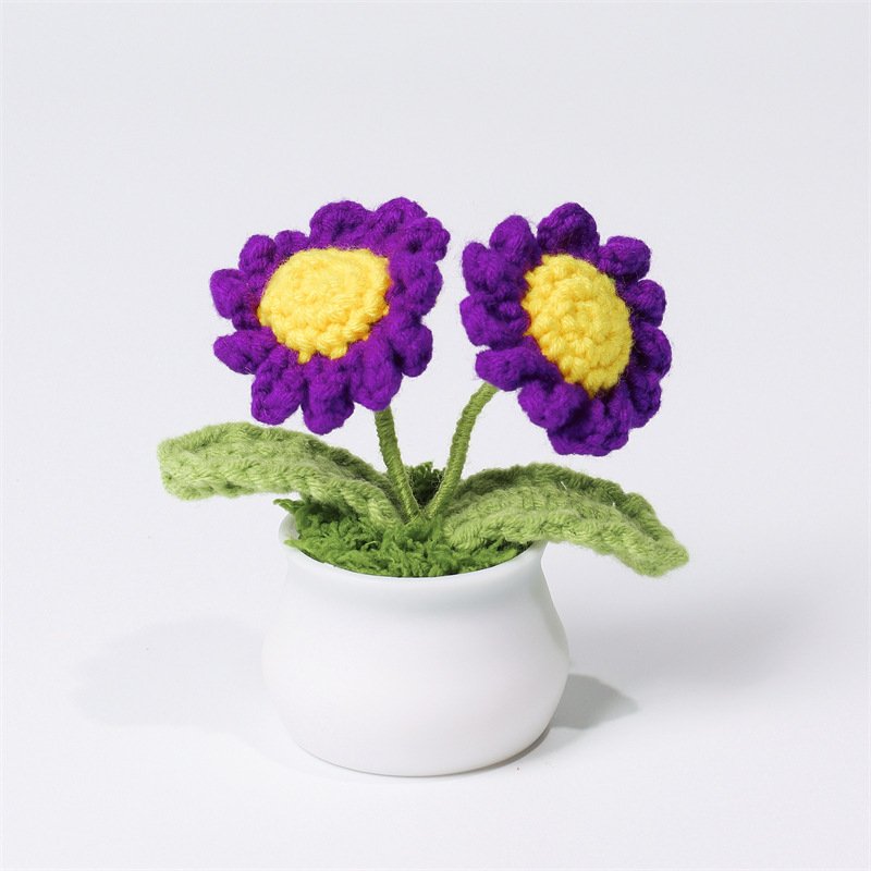 Handcrafted Daisy Crochet Pot Birthday Anniversary Gift for Friends and Family - MyMoonLampUk