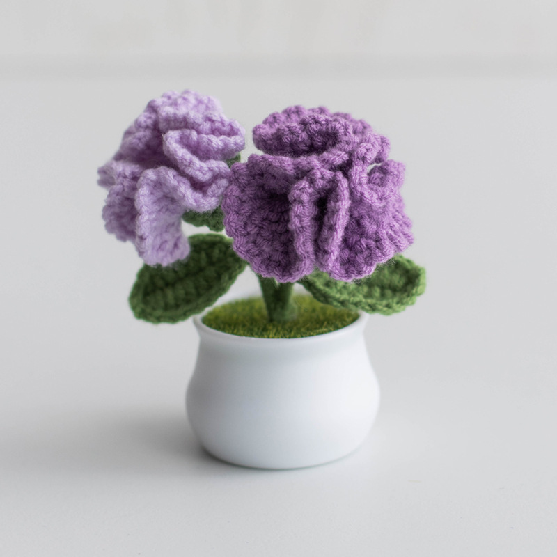 Handcrafted Carnations Crochet Pot Birthday Anniversary Gift for Mom - MyMoonLampUk