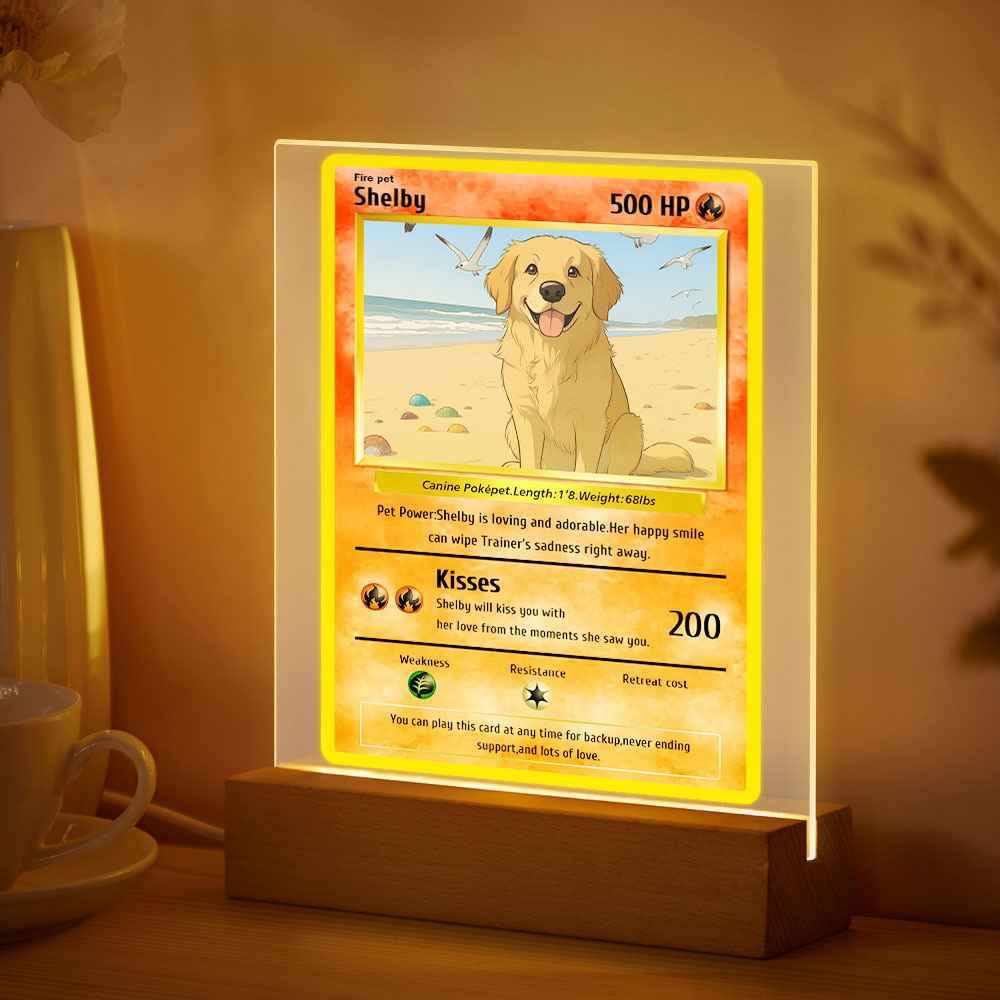 Personalized Pet Photos Acrylic Led Night Light Custom Photos Light Present for Pet Lover - MyMoonLampUk