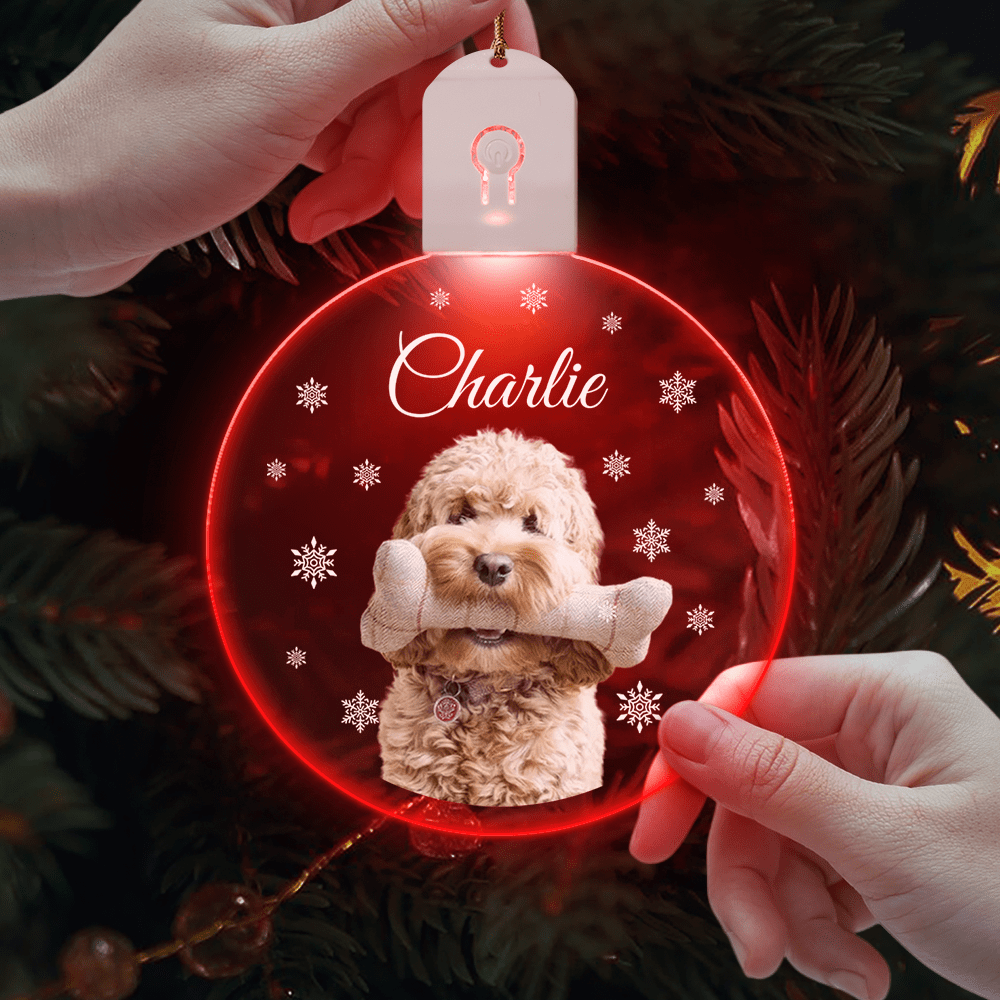 Custom Photo Dog Circle Led Acrylic Ornament Christmas Gift For Dog Lovers - MyMoonLampUk