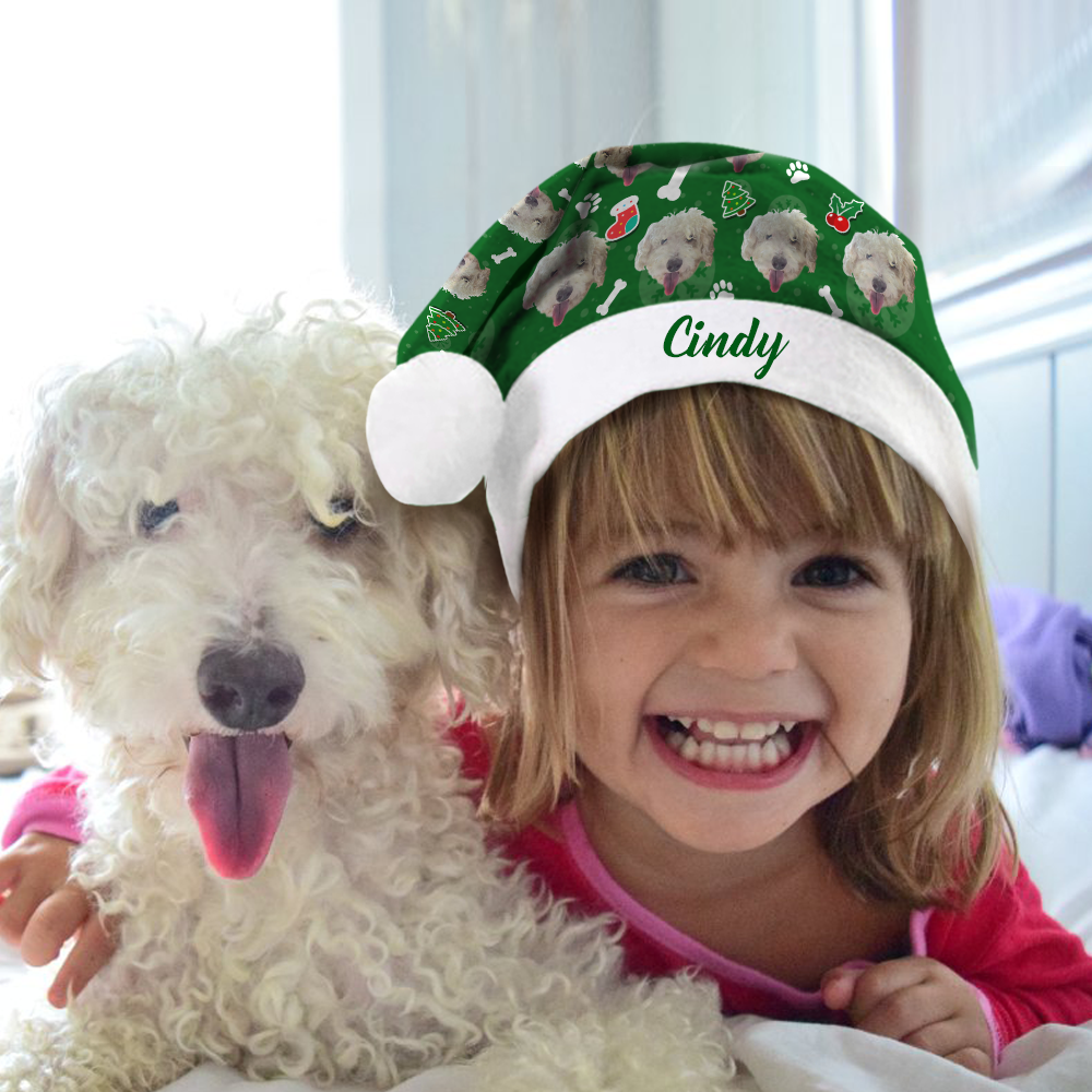Custom Colorful Santa Hat   Dog Face & Green Text
