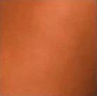 Custom Dog Collar with Name, Personalized Leather Dog Collar, Leather Cat Collar, Dog Collar Leather, Dog Collar Girl, Rustic Puppy Collar - FaceBoxerUK