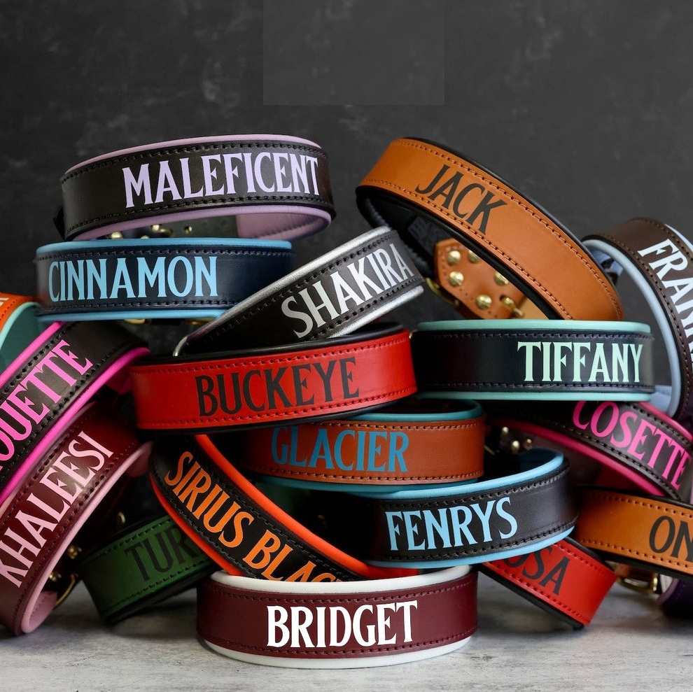 Custom Dog Collar with Name, Personalized Leather Dog Collar, Leather Cat Collar, Dog Collar Leather, Dog Collar Girl, Rustic Puppy Collar - FaceBoxerUK